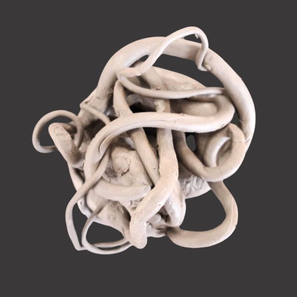 Knot. Coils of clay looped and tangled around something you can't quite see at the centre.