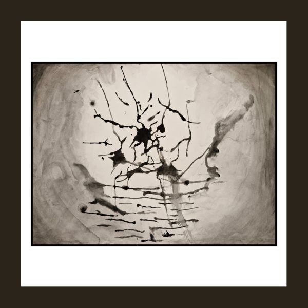Splits and Spills. Ink dropped and chased across wet paper until it branched like roots, or nerves, or cracks in glass.
