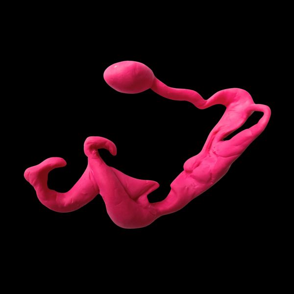 Unfurling. A long pink figure stretches out, rounded head lifted on a slender neck.
